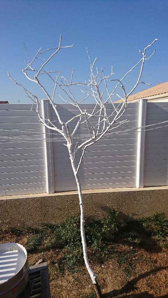 Plan de table arbre - 2