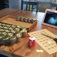 Début DIY pots dragées