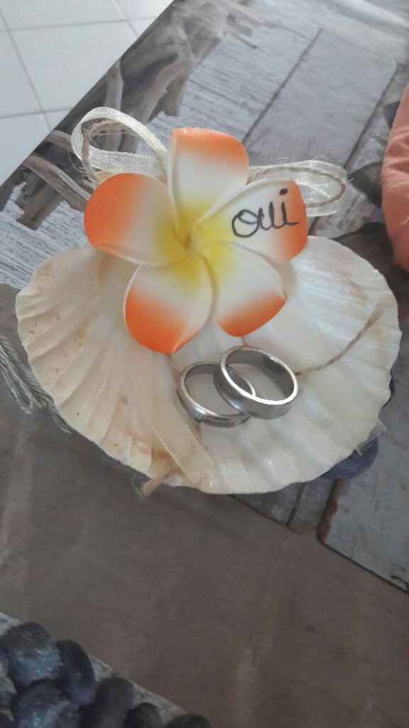 Porte alliance fait maison - 1