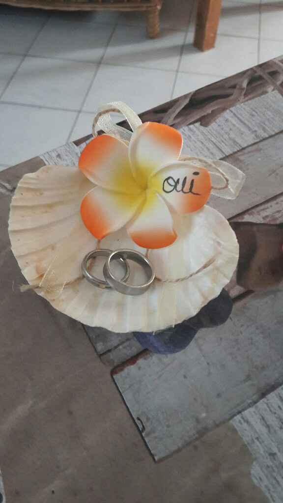 Porte alliance fait maison - 2