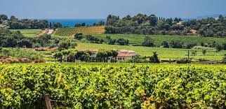 Domaine de La croix 
