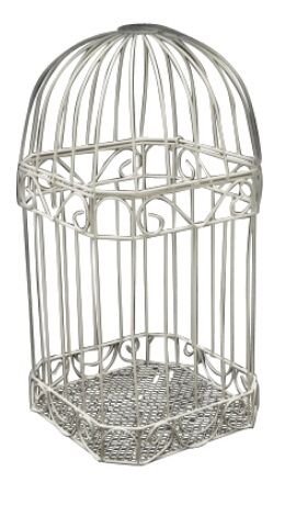 urne cage à oiseaux 