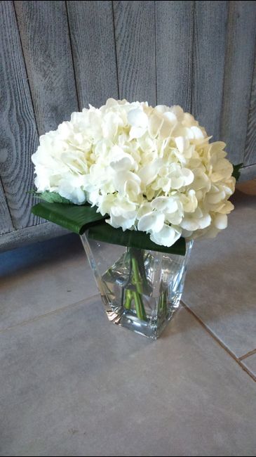 L'hortensia - 1