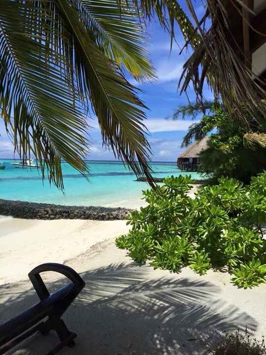 Nom de table=îles paradisiaques - 1