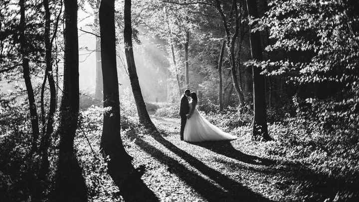 Un mois après, retour en photos ... - 22