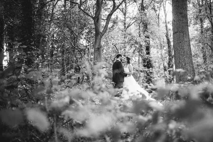 Un mois après, retour en photos ... - 23