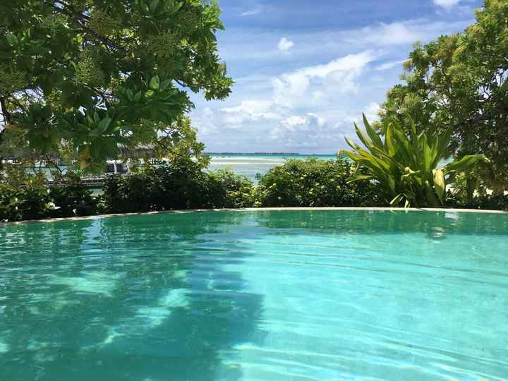 Retour de notre vdn en polynésie - 1