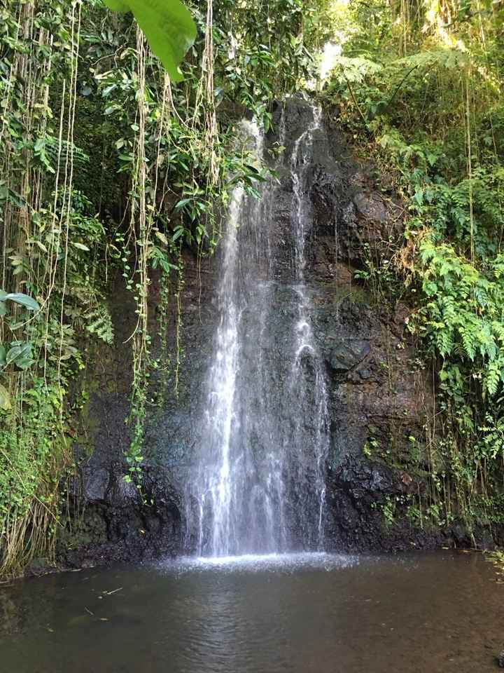 Retour de notre vdn en polynésie - 2