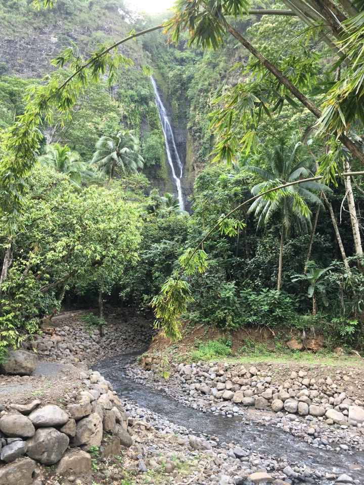 Retour de notre vdn en polynésie - 3