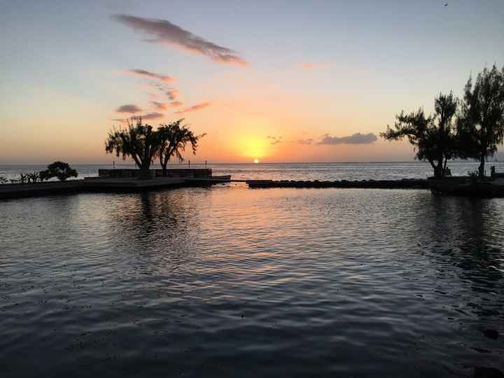 Retour de notre vdn en polynésie - 4