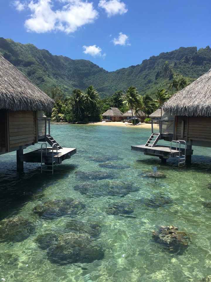 Retour de notre vdn en polynésie - 5