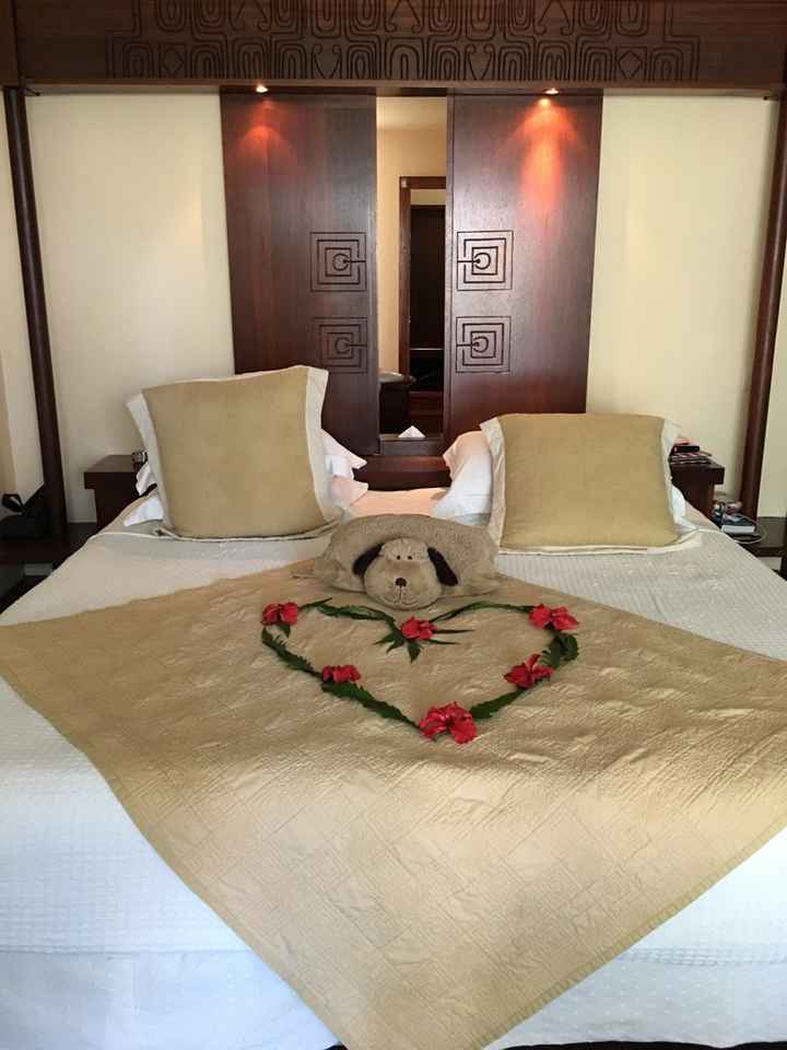 Retour de notre vdn en polynésie - 6