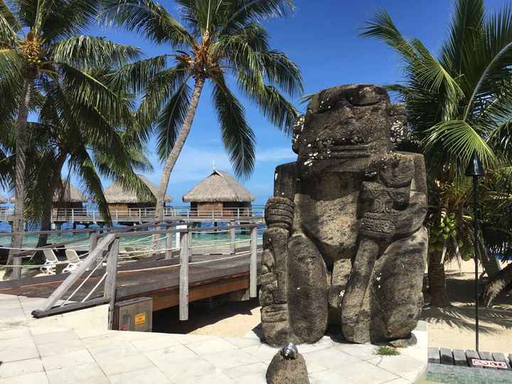 Retour de notre vdn en polynésie - 9