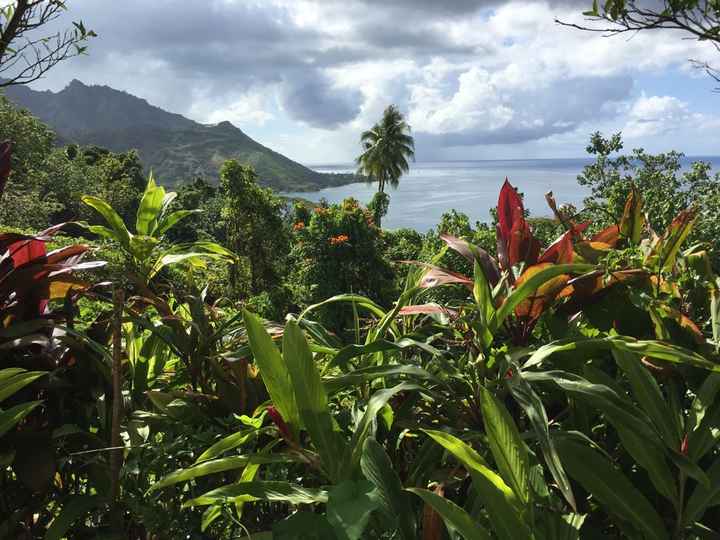 Retour de notre vdn en polynésie - 11