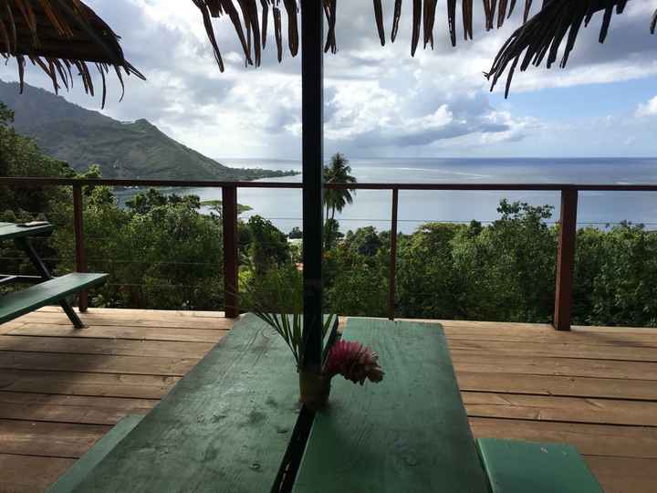 Retour de notre vdn en polynésie - 12