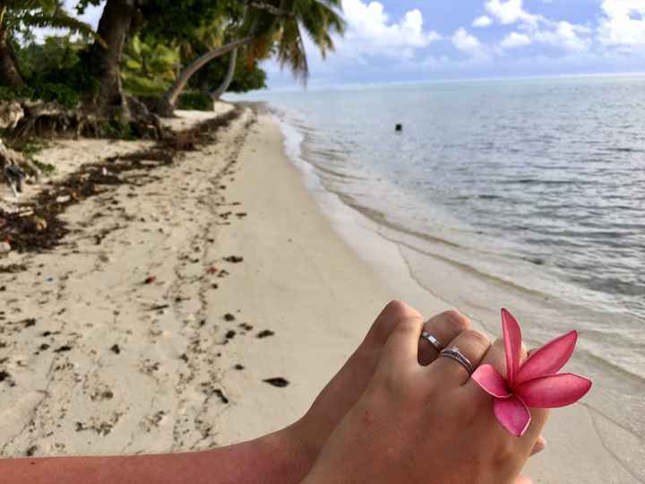 Retour de notre vdn en polynésie - 14