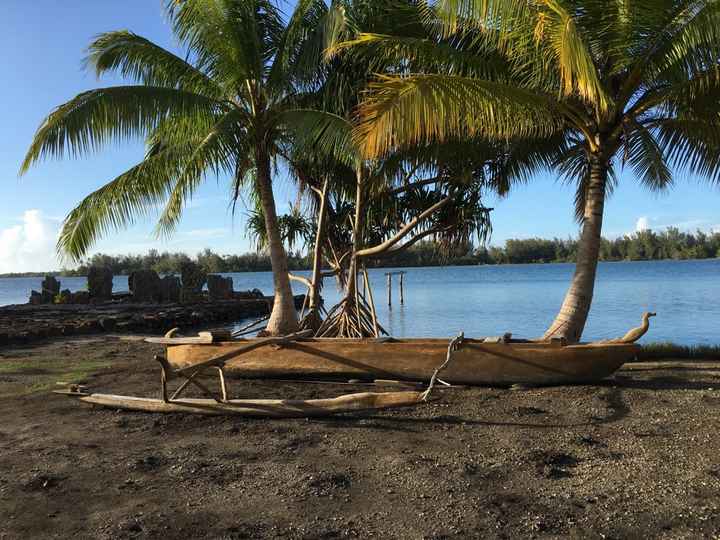 Retour de notre vdn en polynésie - 15