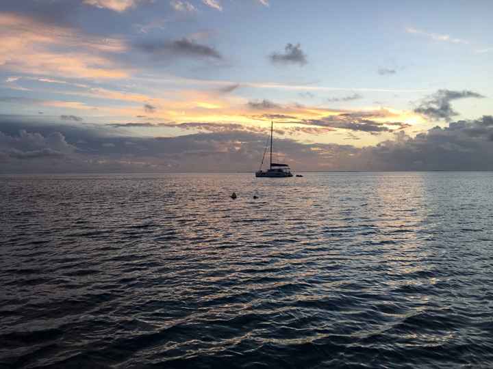 Retour de notre vdn en polynésie - 16