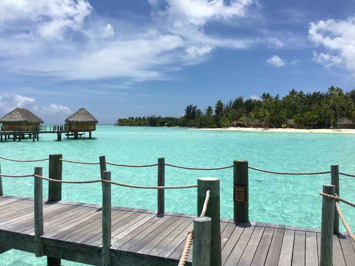 Retour de notre vdn en polynésie - 20