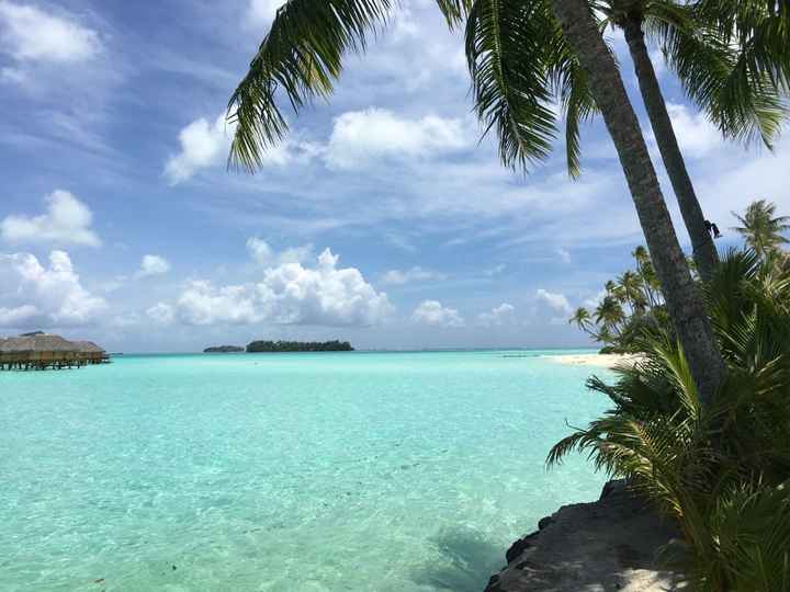 Retour de notre vdn en polynésie - 21