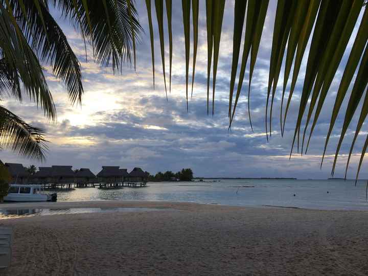 Retour de notre vdn en polynésie - 23