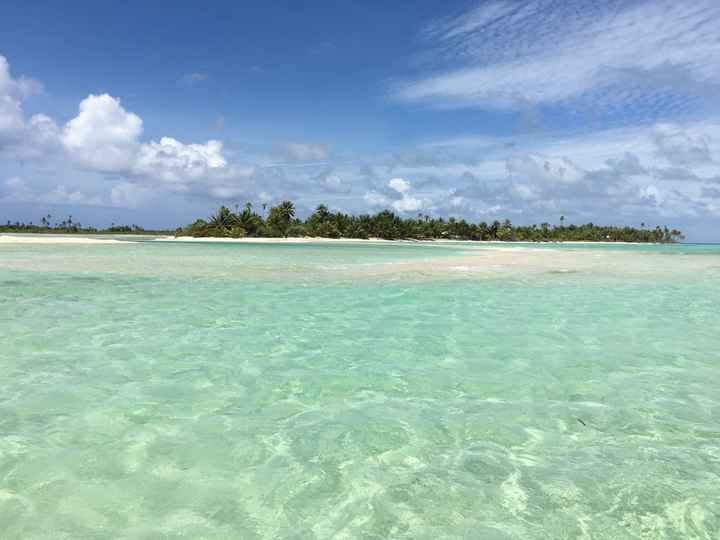 Retour de notre vdn en polynésie - 24