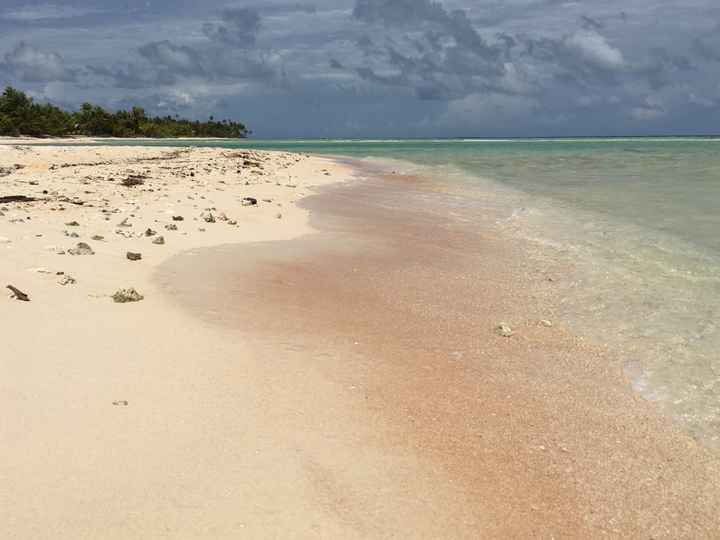 Retour de notre vdn en polynésie - 26