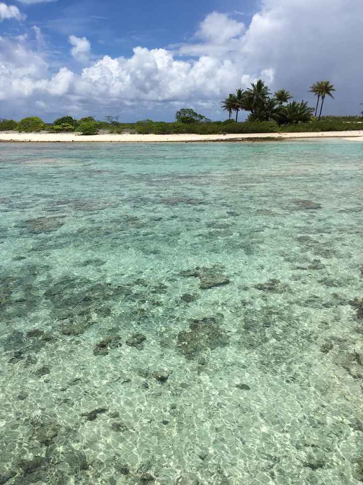 Retour de notre vdn en polynésie - 27