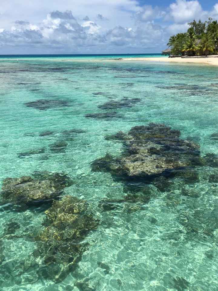 Retour de notre vdn en polynésie - 29