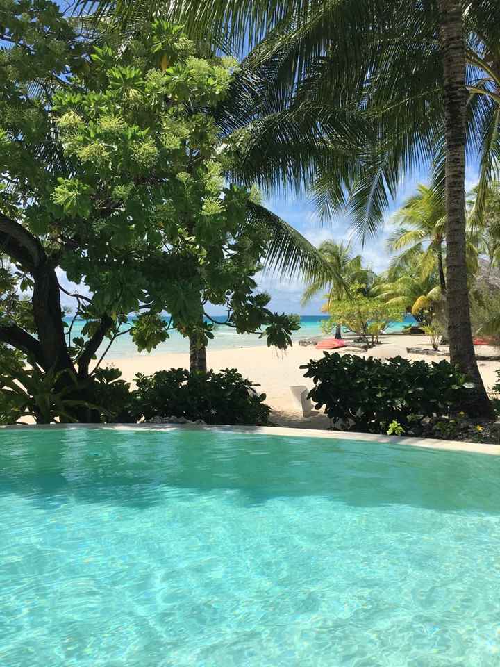 Retour de notre vdn en polynésie - 31