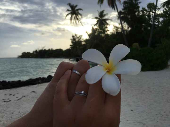 Retour de notre vdn en polynésie - 32