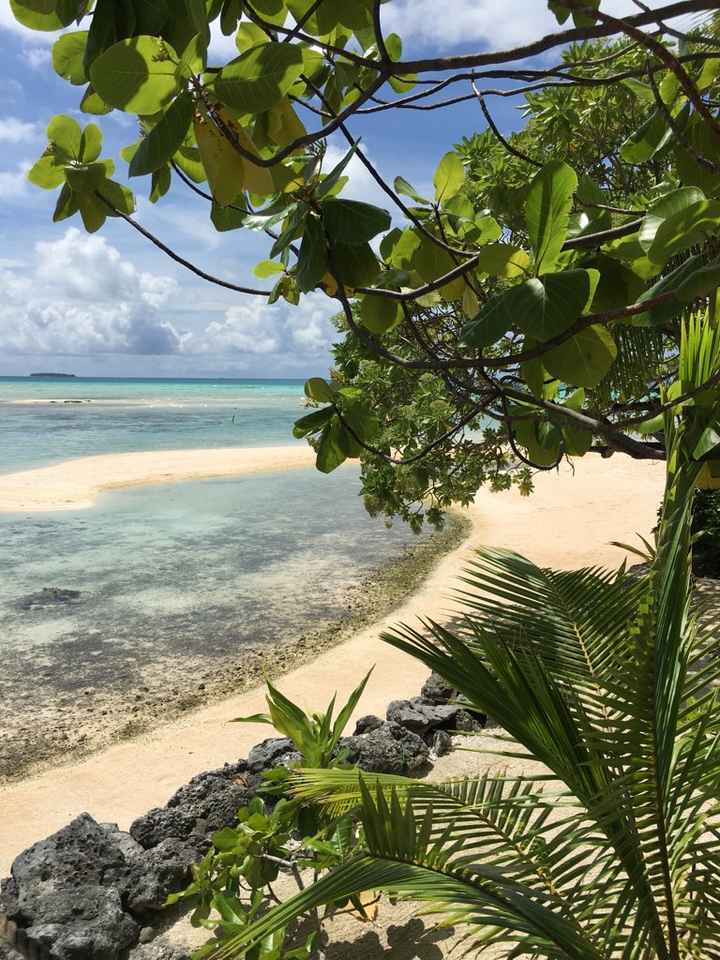 Retour de notre vdn en polynésie - 33