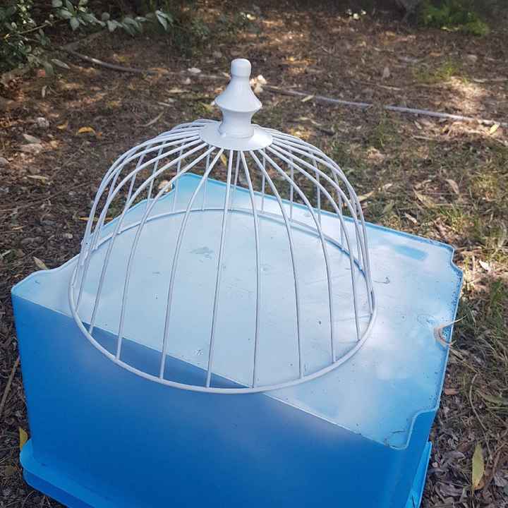Cage oiseau - 2