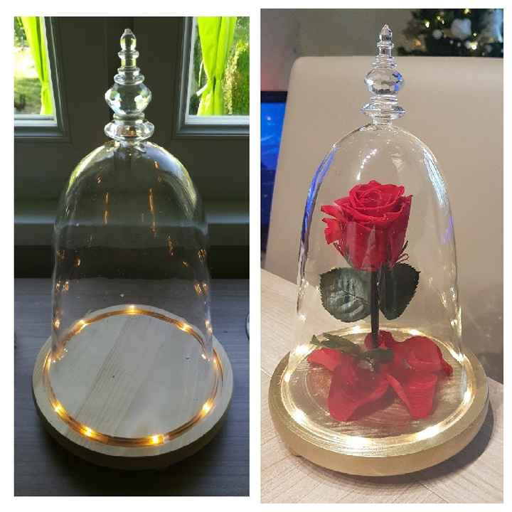 Rose éternelle - 1