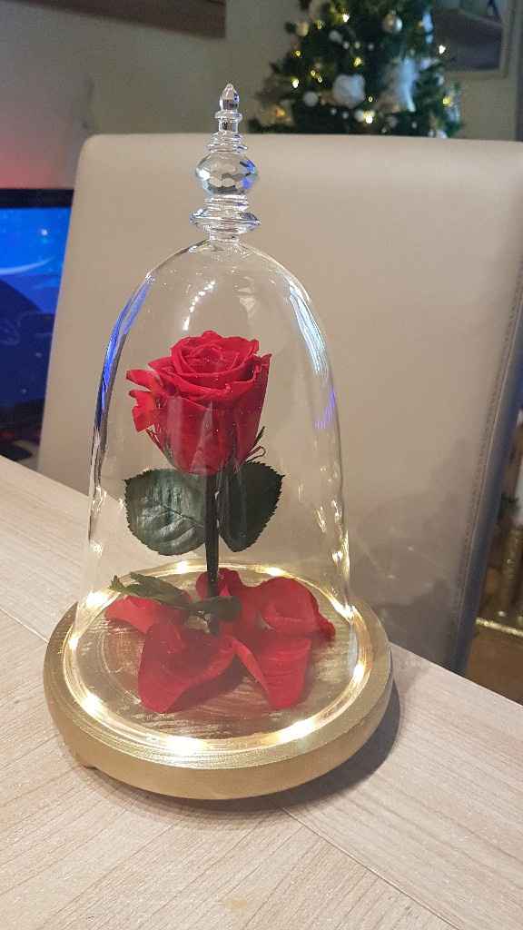 Rose éternelle - 2