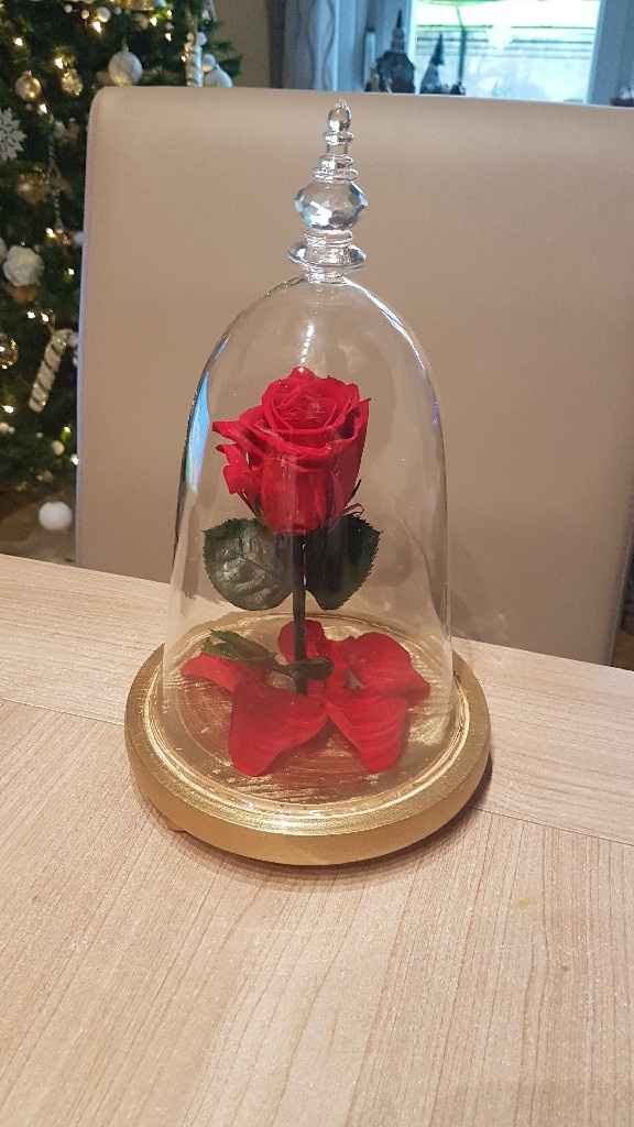 Rose éternelle - 3