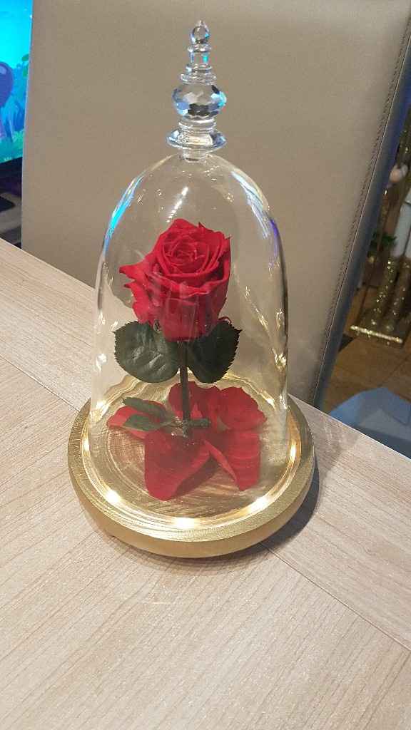 Rose éternelle - 4
