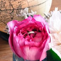 Ma jolie bague de fiançailles