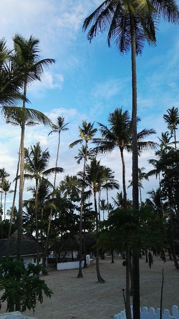 Zanzibar - voyage de noces - 2