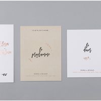 Faire-part cottonbird