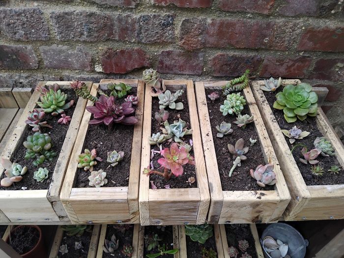 Petite avancée déco 4