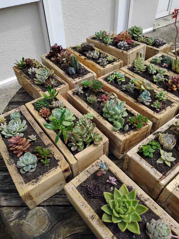 Deco de table - 1