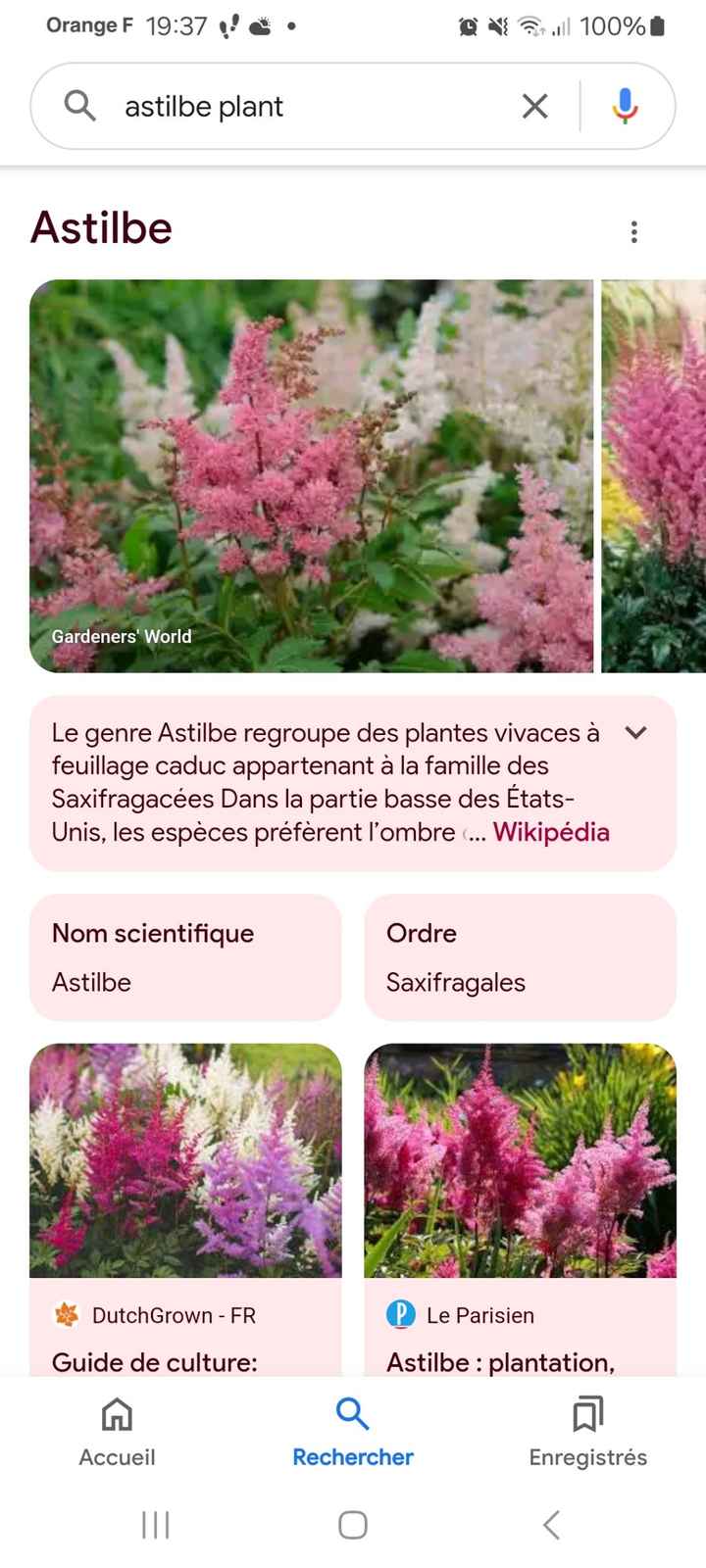 Bouquet - 1