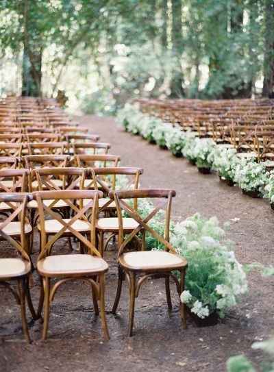 3 Chaises simples en bois