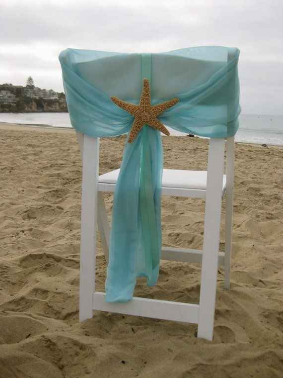15 Chaises coquillage