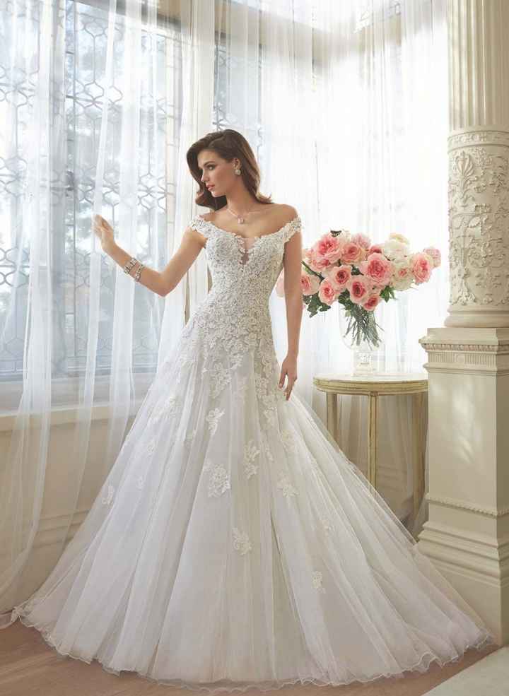 1 Sophia Tolli
