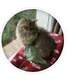 Mademoiselle Chaton