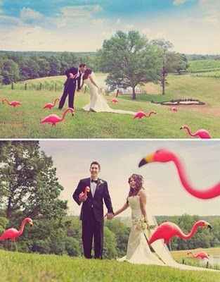 mariage flamant rose