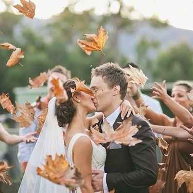 9. Des feuilles