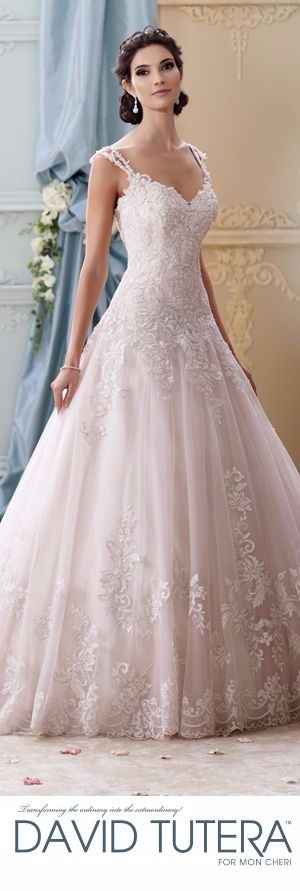 2 David Tutera